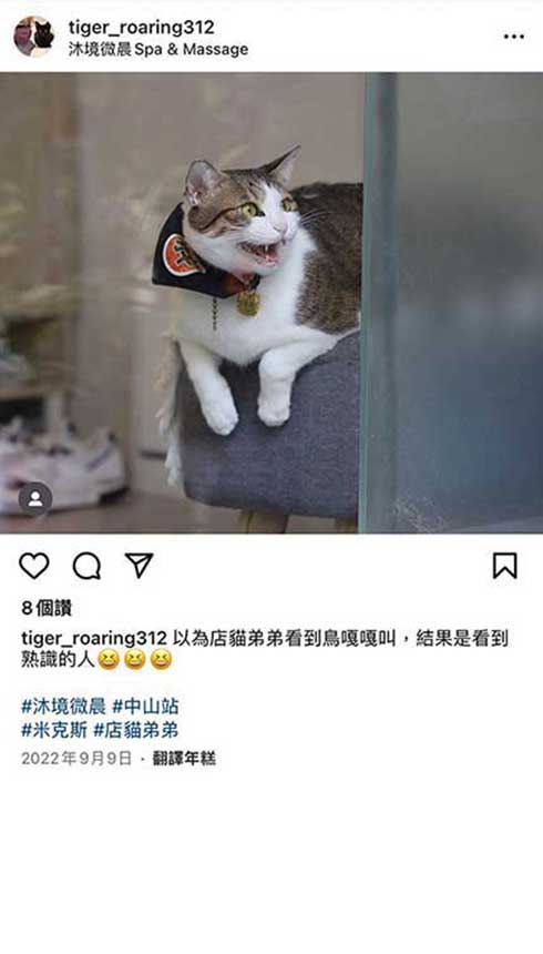 沐境微晨客戶評論5