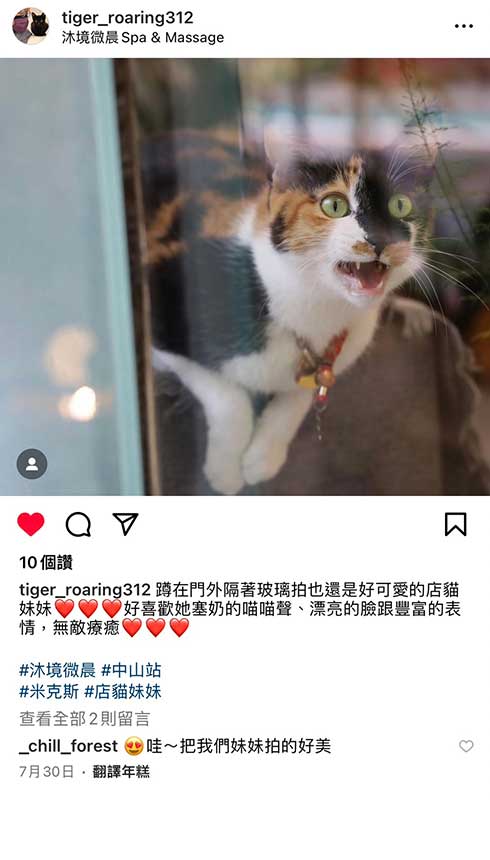 沐境微晨客戶評論6